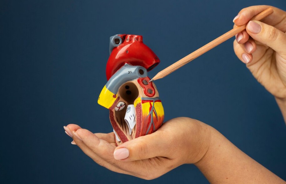 Kalp Sağlığını Ameliyatsız Bir Şekilde Korumak Mümkün Müdür?