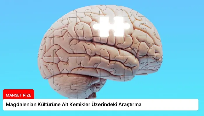 Magdalenian Kültürüne Ait Kemikler Üzerindeki Araştırma