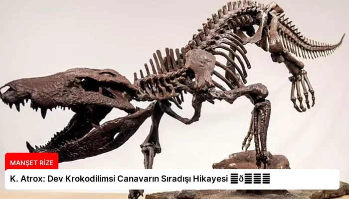 K. Atrox: Dev Krokodilimsi Canavarın Sıradışı Hikayesi ⏬👇