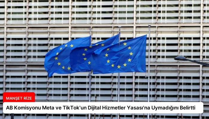 AB Komisyonu Meta ve TikTok’un Dijital Hizmetler Yasası’na Uymadığını Belirtti