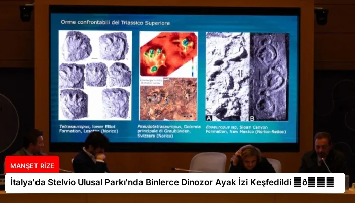 İtalya’da Stelvio Ulusal Parkı’nda Binlerce Dinozor Ayak İzi Keşfedildi ⏬👇