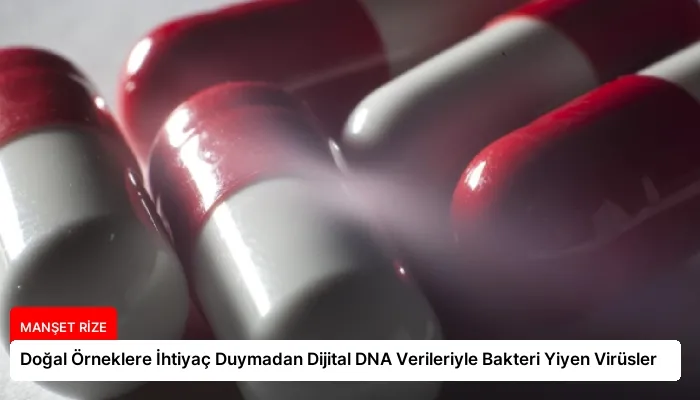 Doğal Örneklere İhtiyaç Duymadan Dijital DNA Verileriyle Bakteri Yiyen Virüsler