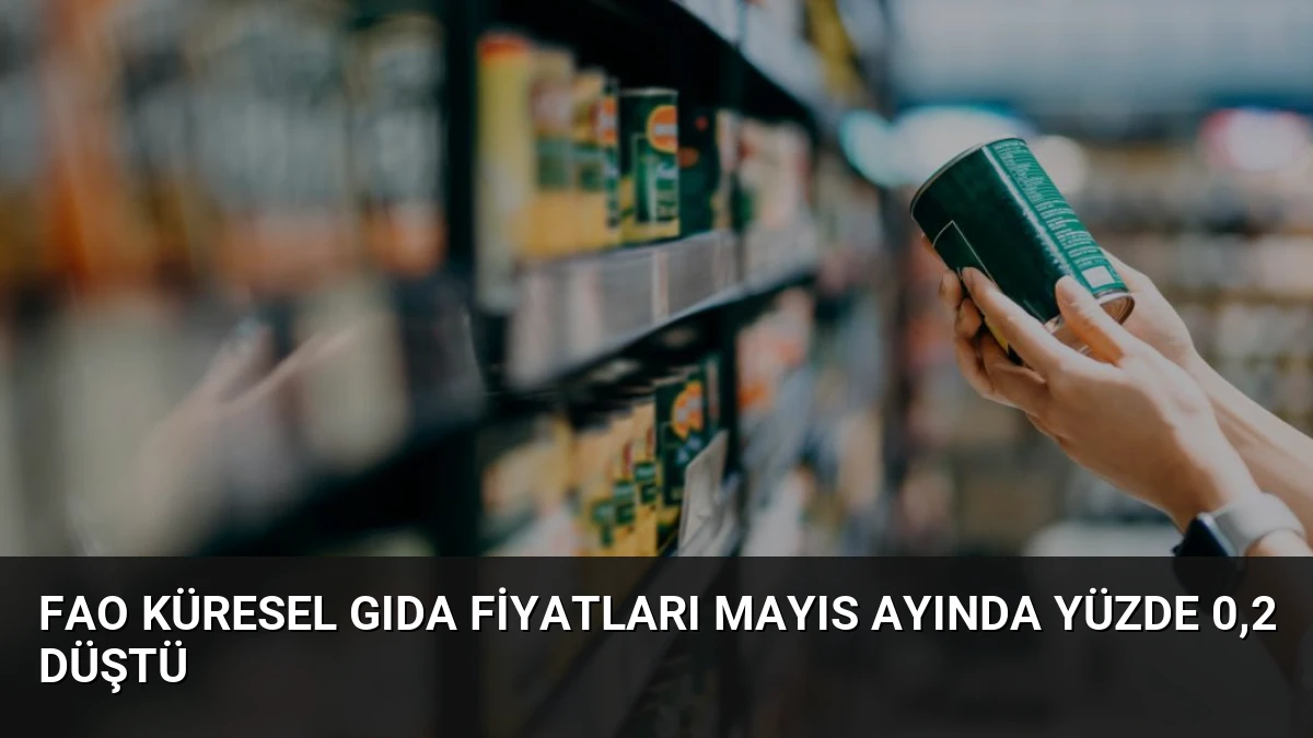 FAO Küresel Gıda Fiyatları Mayıs Ayında Yüzde 0,2 Düştü