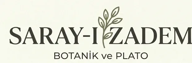 YAŞAM ALANLARINDA RENK ETKİSİ: ÇİÇEKLİ BİTKİLER