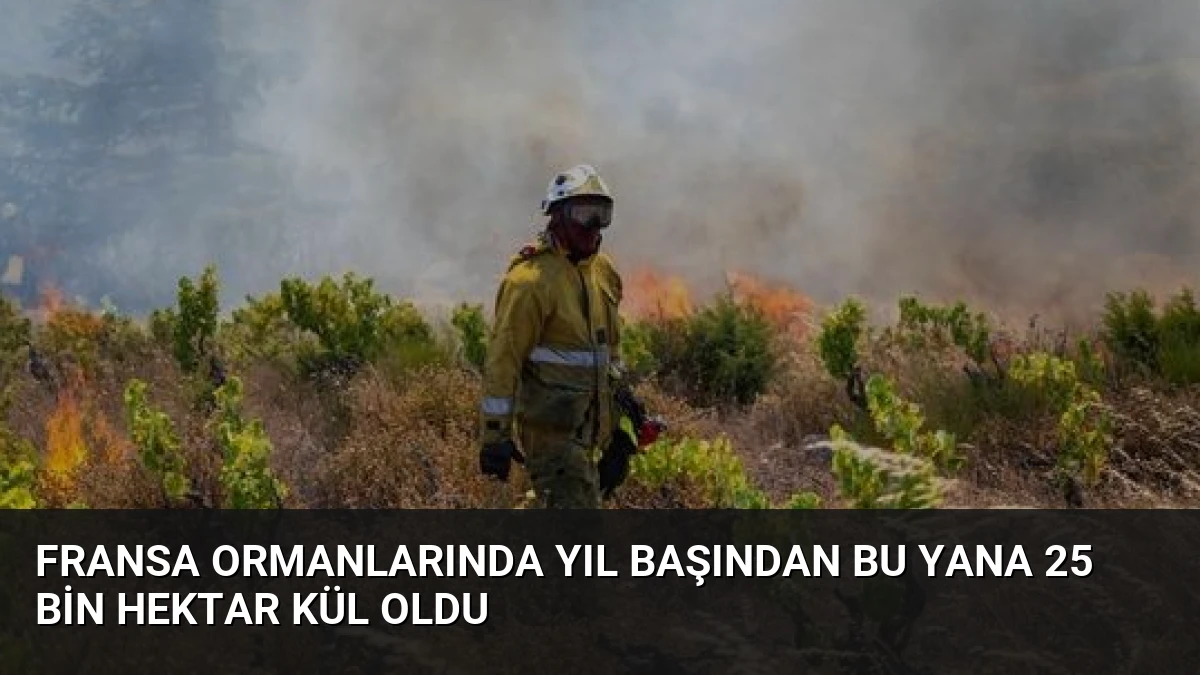 Fransa Ormanlarında Yıl Başından Bu Yana 25 Bin Hektar Kül Oldu