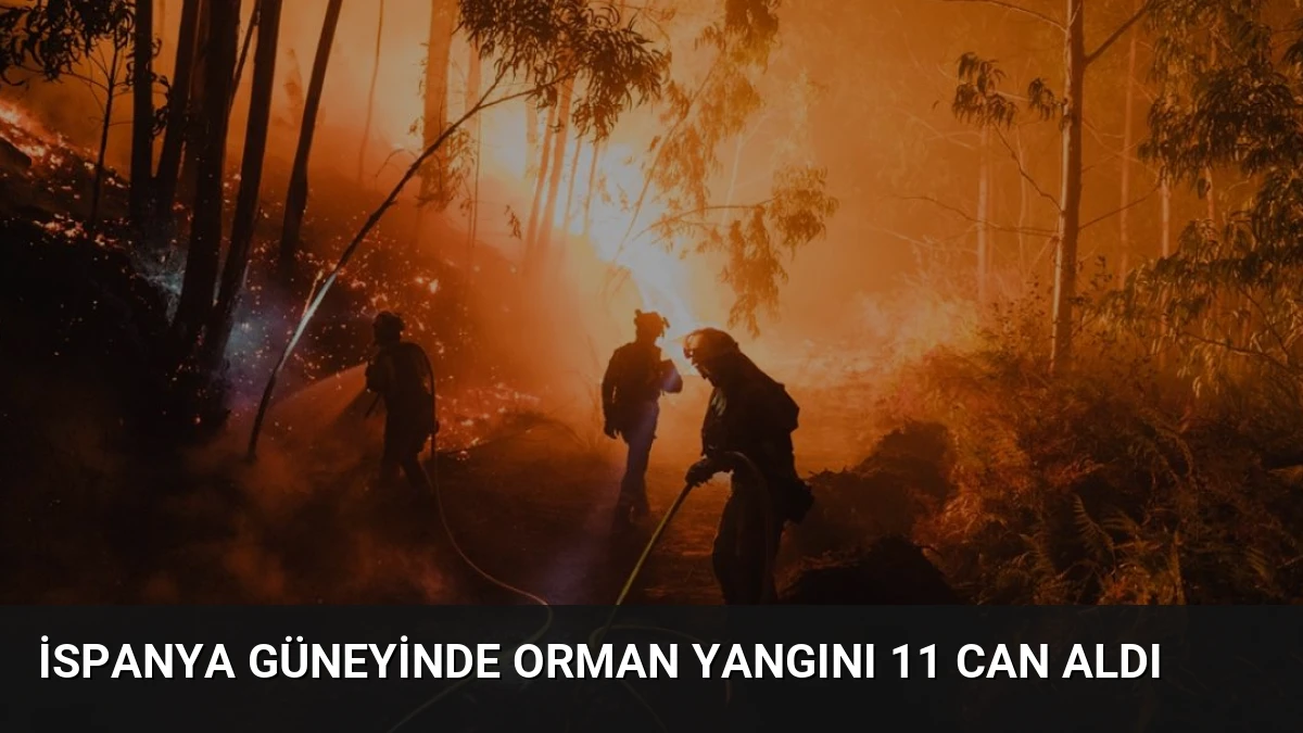 İspanya Güneyinde Orman Yangını 11 Can Aldı