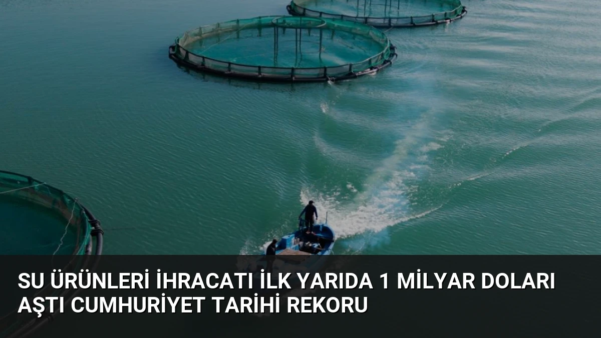 Su Ürünleri İhracatı İlk Yarıda 1 Milyar Doları Aştı Cumhuriyet Tarihi Rekoru