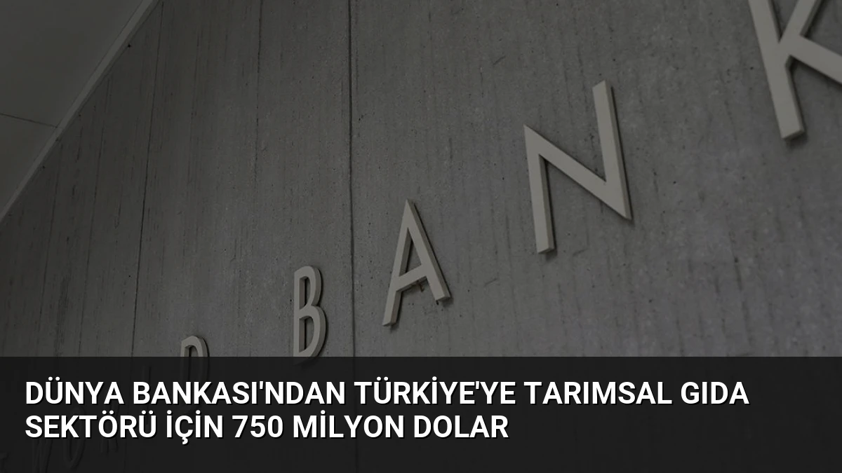 Dünya Bankası’ndan Türkiye’ye Tarımsal Gıda Sektörü İçin 750 Milyon Dolar