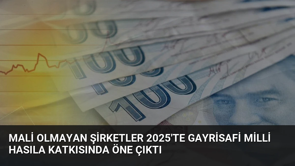 Mali Olmayan Şirketler 2025’te Gayrisafi Milli Hasıla Katkısında Öne Çıktı