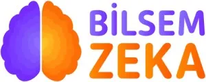 BİLSEM 1. Sınıf Hazırlığında Hareketlilik: Küçük Yaşta Doğru Çalışma Nasıl Olmalı?
