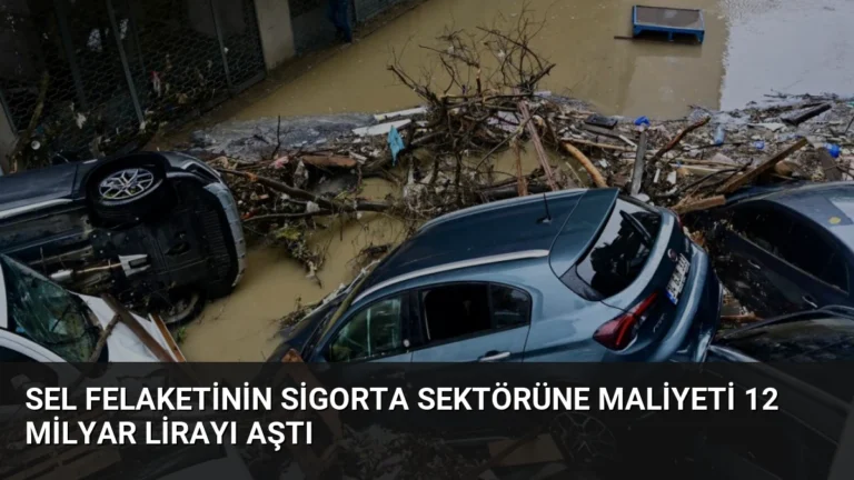 Sel Felaketinin Sigorta Sektörüne Maliyeti 12 Milyar Lirayı Aştı